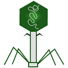 Bacteriophage News