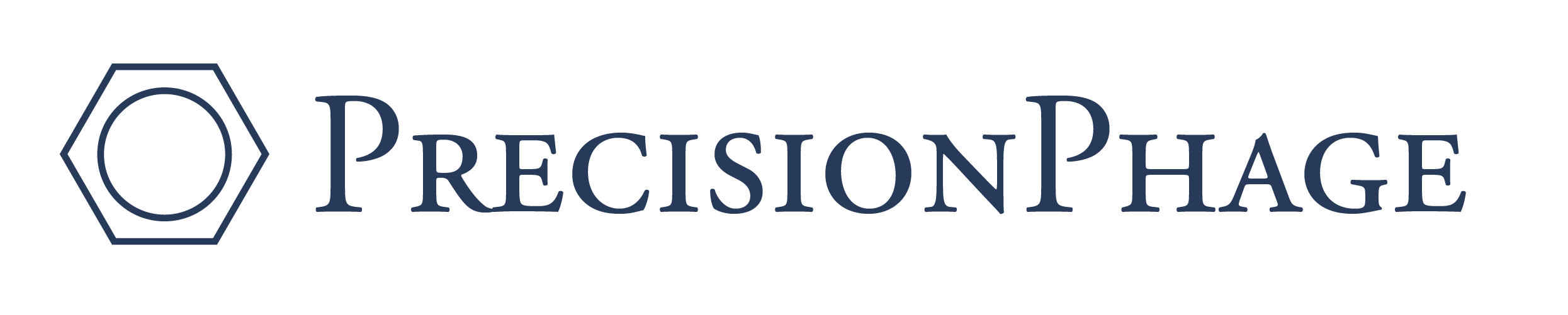 6631f69766c90402ac358998_pp_logo_280922_bluetext