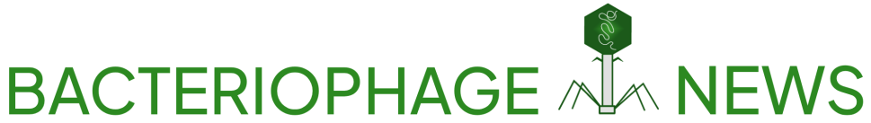 Screenshot 2026-02-02 171000